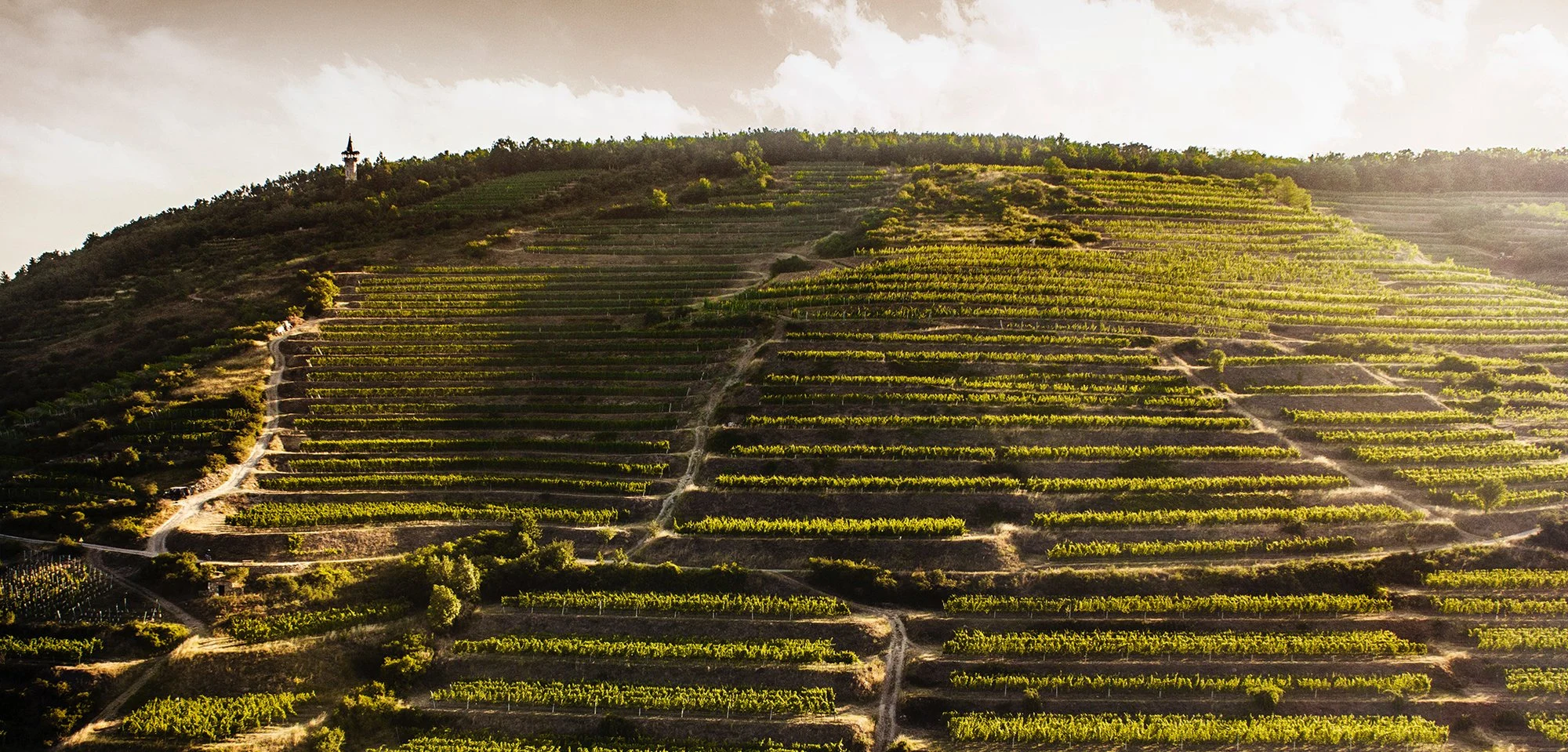 Weingut Eichinger