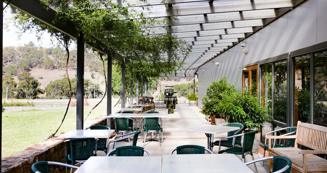 Mount Majura Vineyard