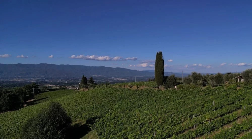 Monnanni - Poggi del Chianti