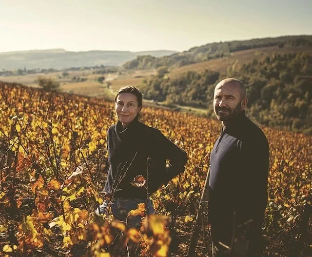 Domaine Marc Colin