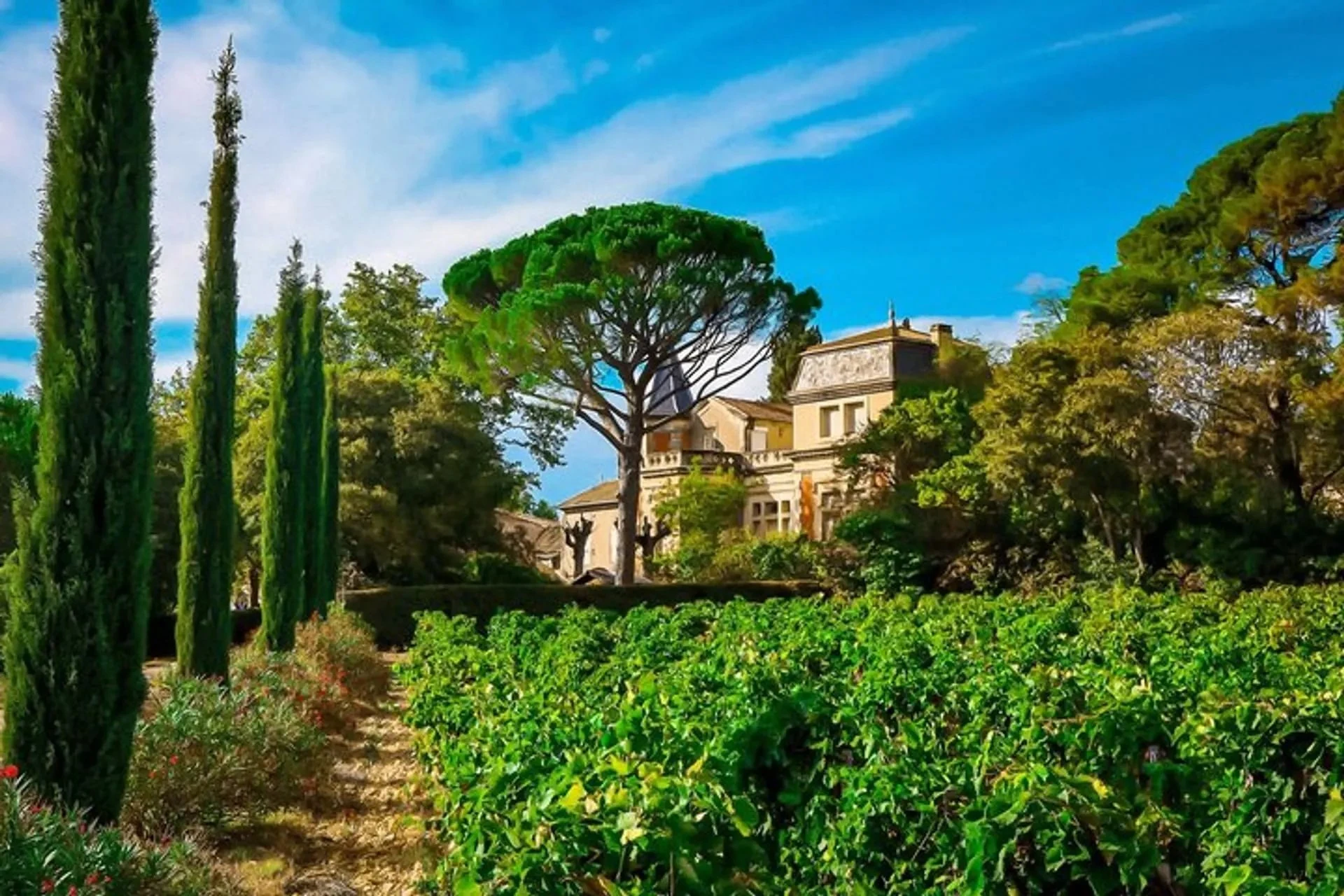 Chateau Fortia