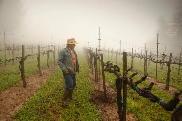 David Hirsch Sonoma Coast: A 200-Year Ridgetop Plan