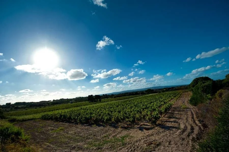 Cantine Sardus Pater