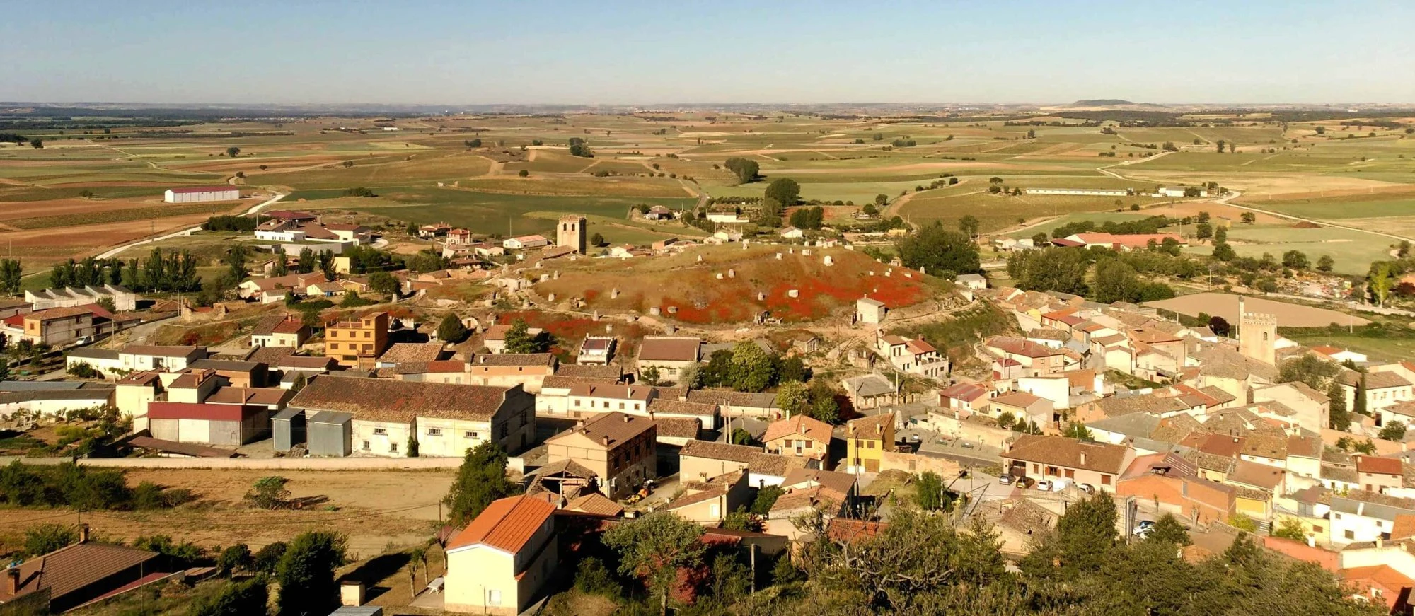 Bodegas Arrocal