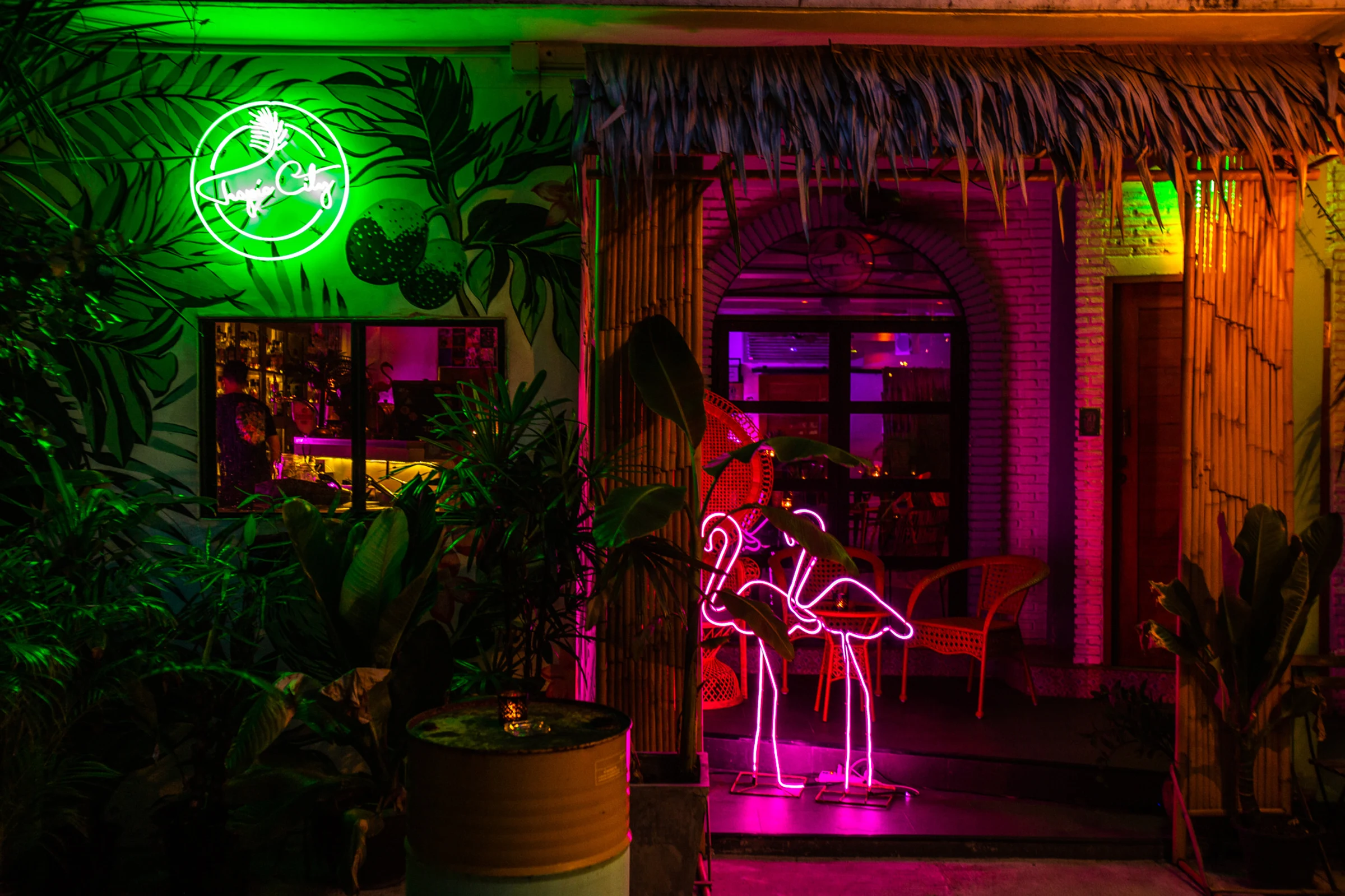 Tropic City
