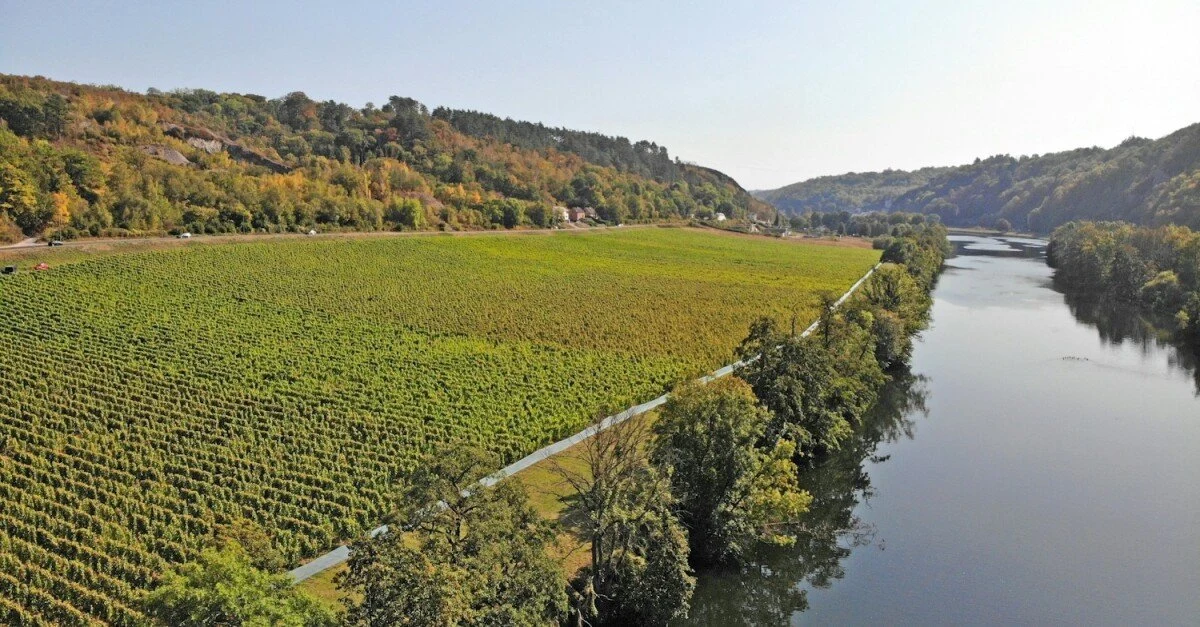 Chateau Bon Baron