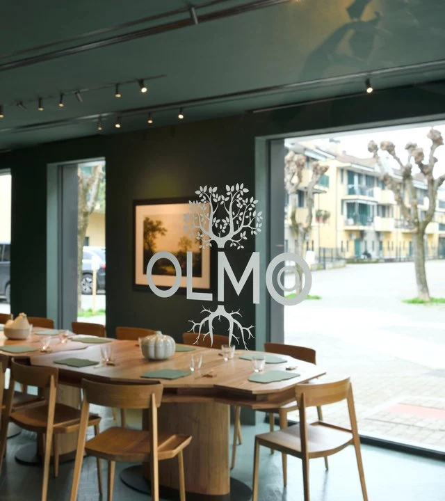 Olmo