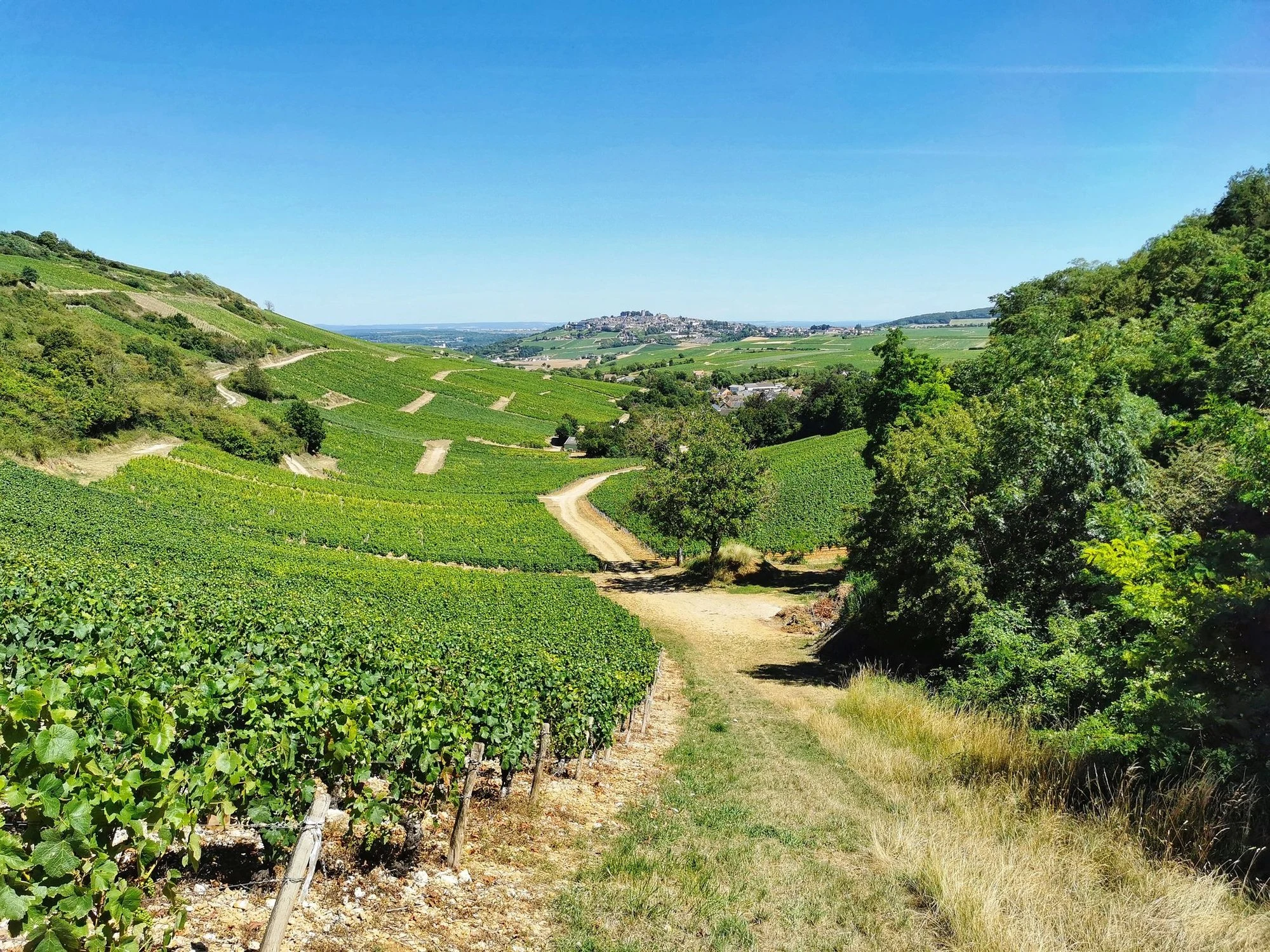 Château de Crézancy
