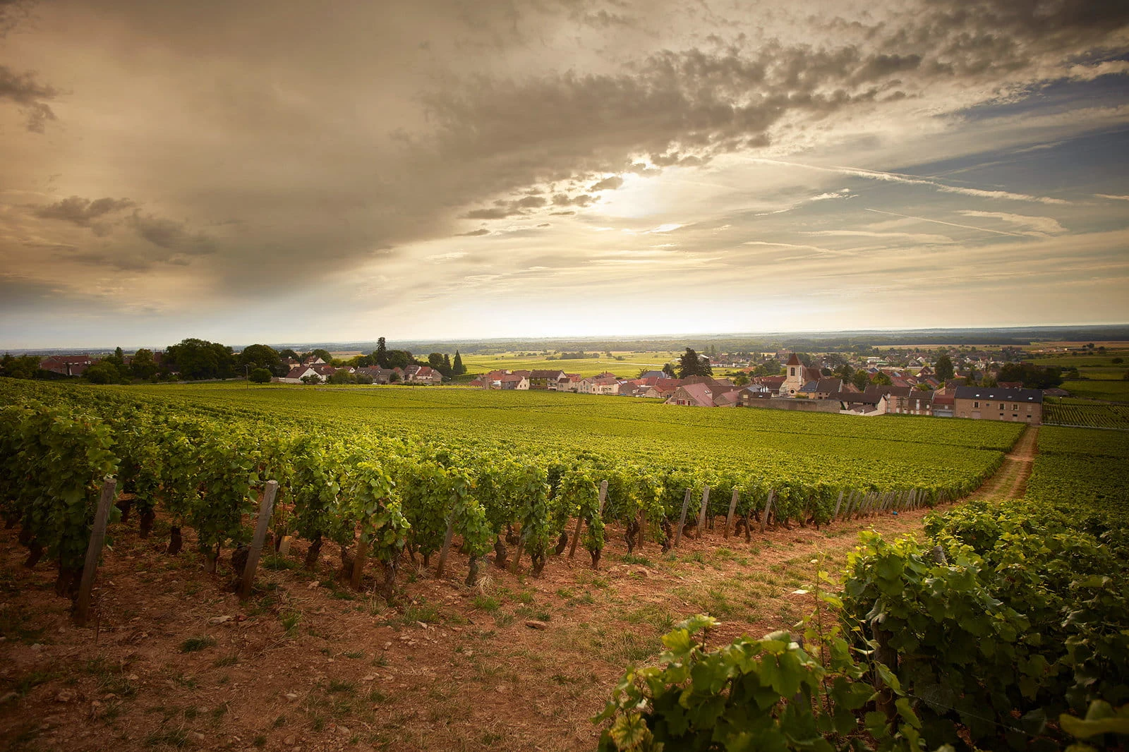 Domaine du Clos de Tart