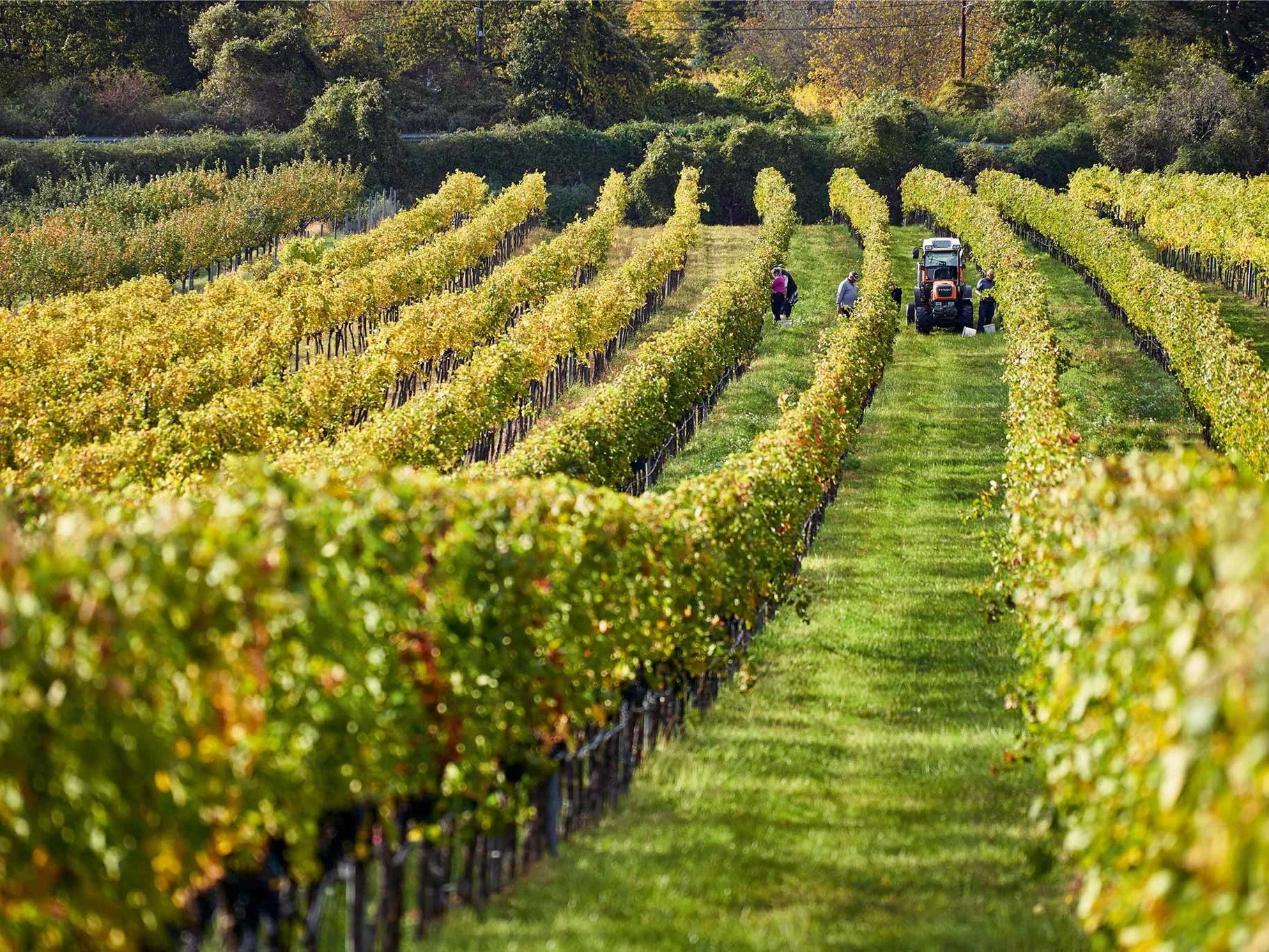 Weingut Rainer Christ