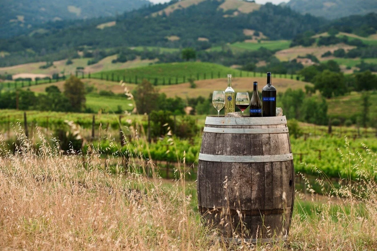 Maroon Wines