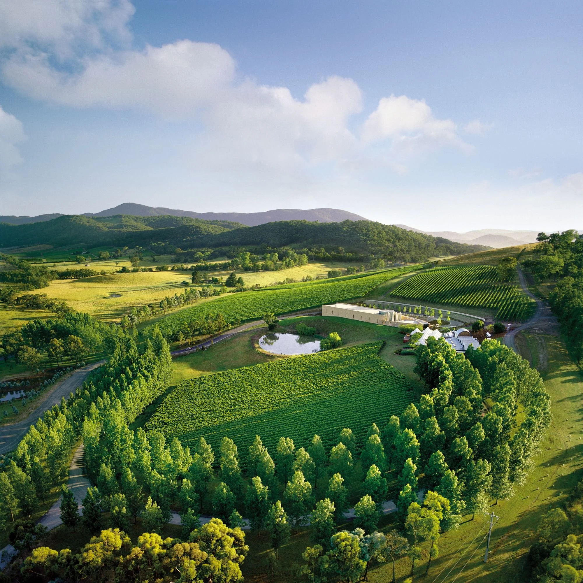 TarraWarra Estate