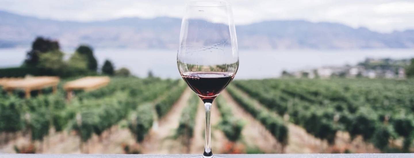 Domaine du Cayron