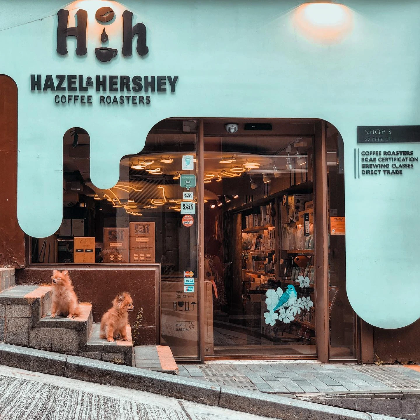 Hazel & Hershey Coffee Roasters