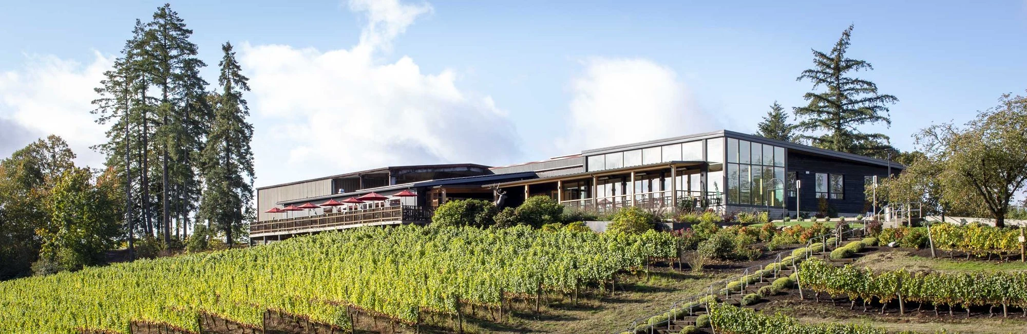 Elk Cove Vineyards