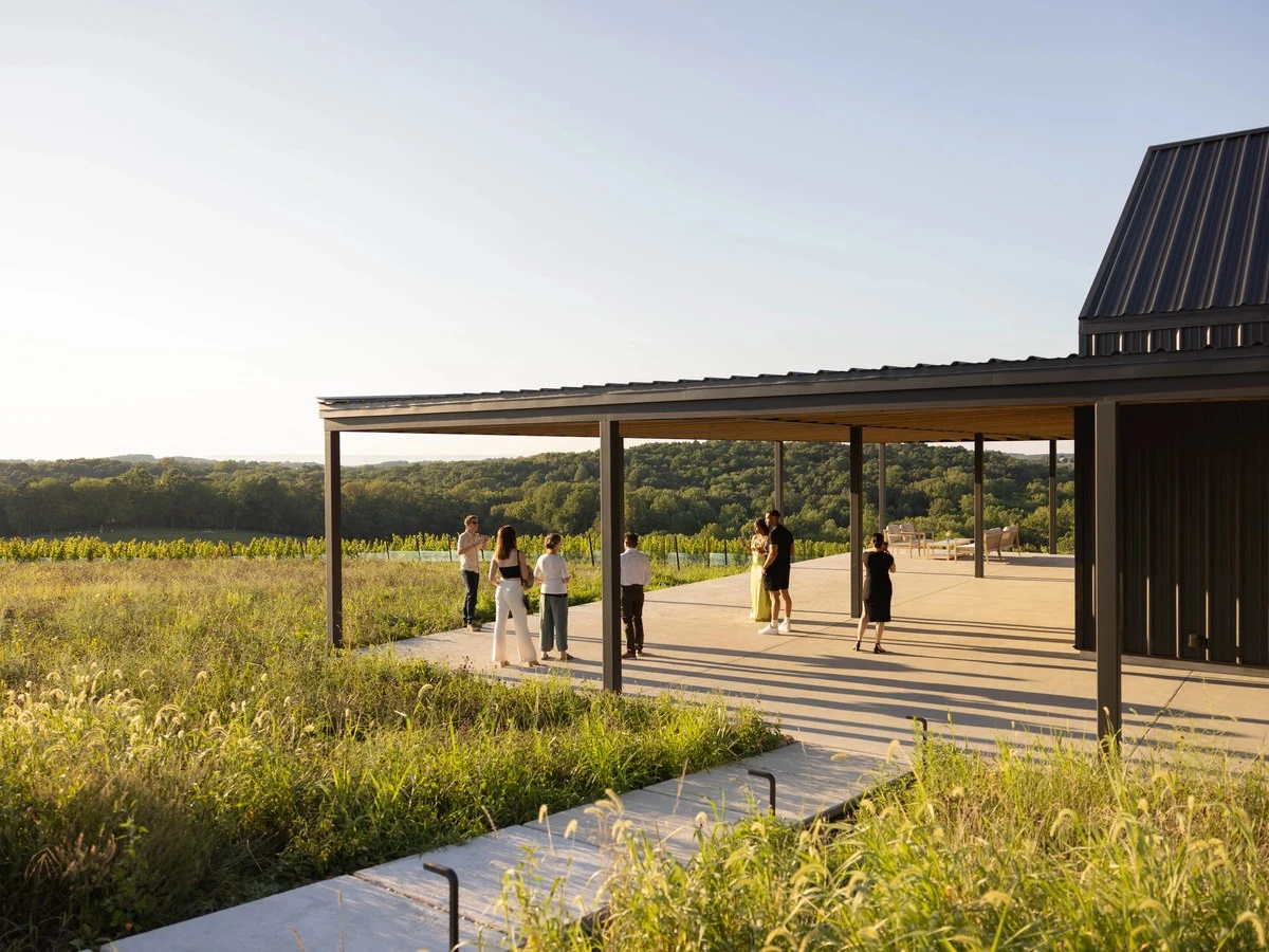 A modern dark-metal building with a covered patio overlooks vineyard rows and rolling wooded Maryland countryside at Burnt Hill Farm.