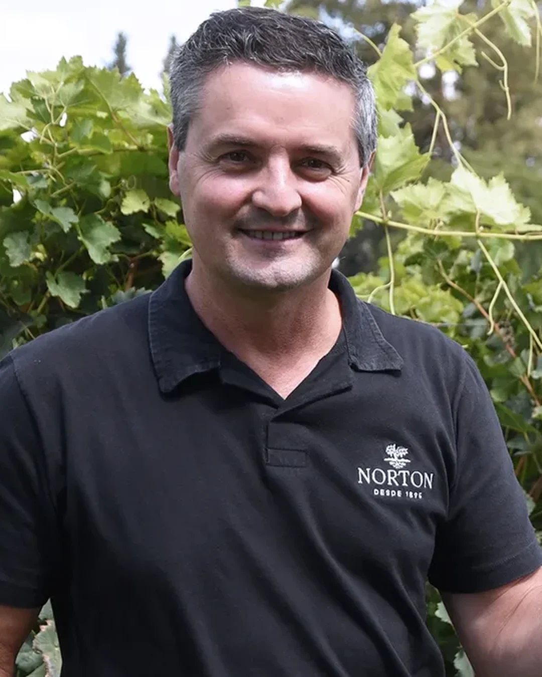 David Bonomi