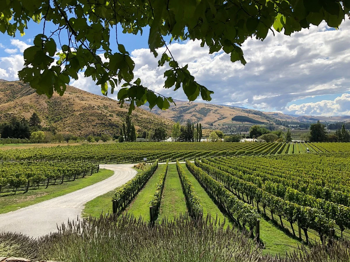 Ceres Wines