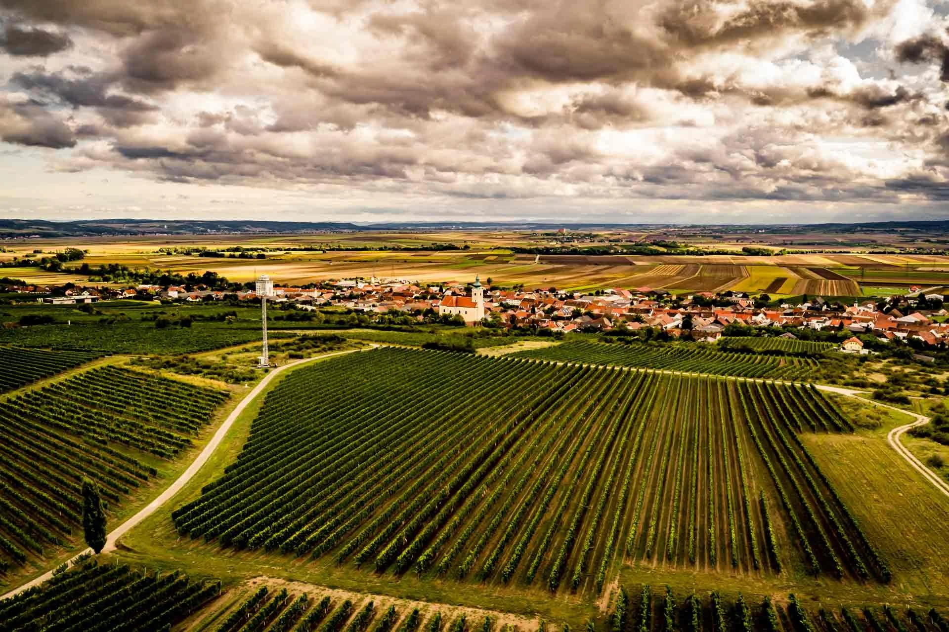 Weingut Beyer