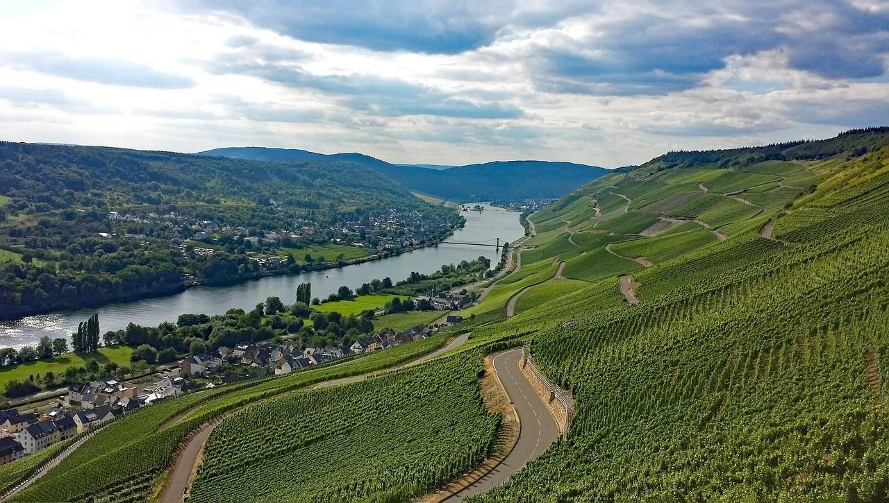 Bioweingut Hubertushof