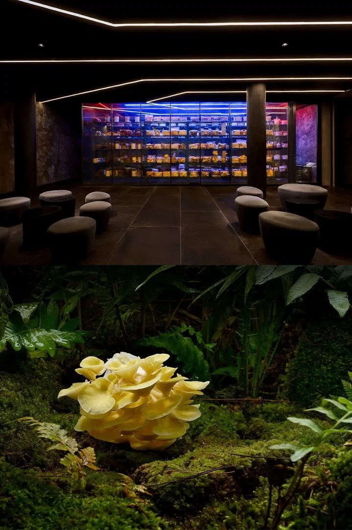 Locavore NXT Mushroom Chamber producer profile