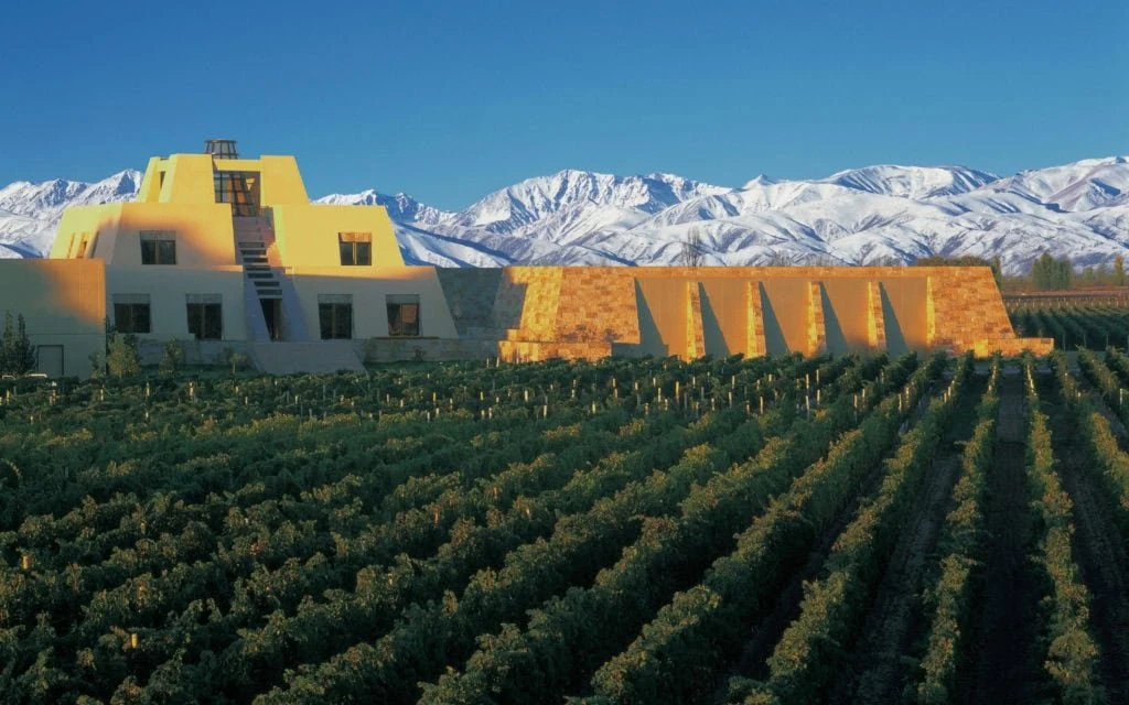 Alpasión Vineyards