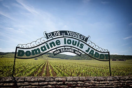Domaine Louis Jadot