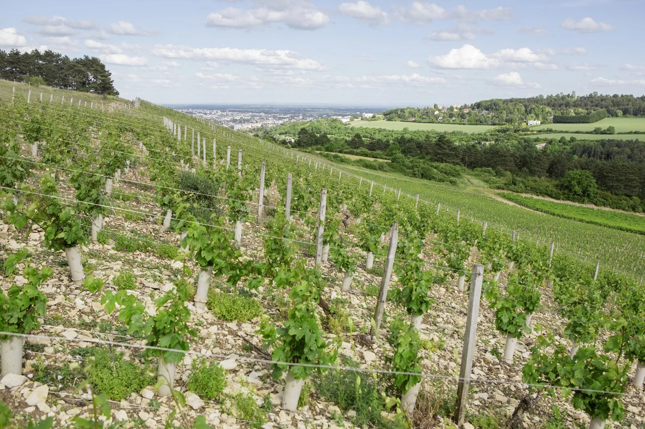 Domaine de la Cras