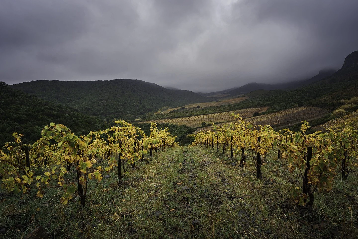 Domaine des Schistes