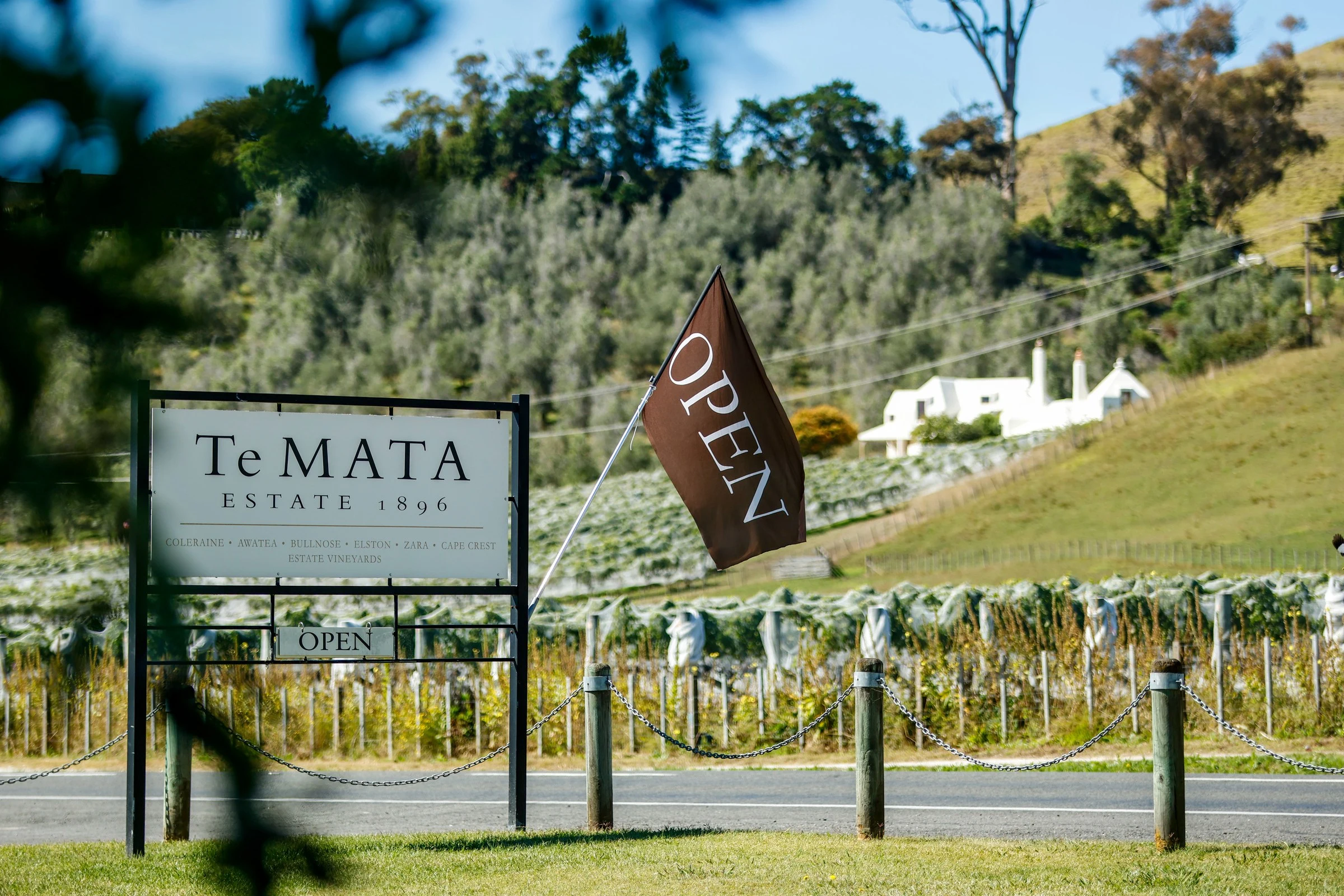 Te Mata Estate