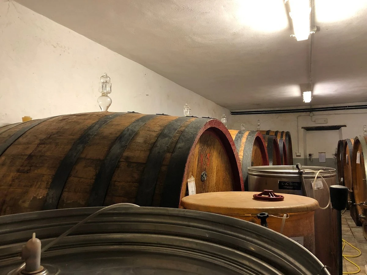 Bolsignano