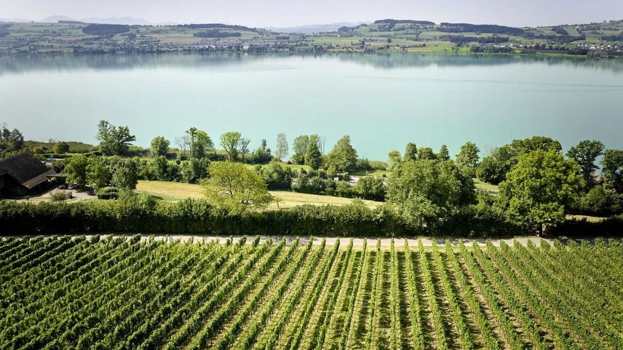 Brunner Weinmanufaktur