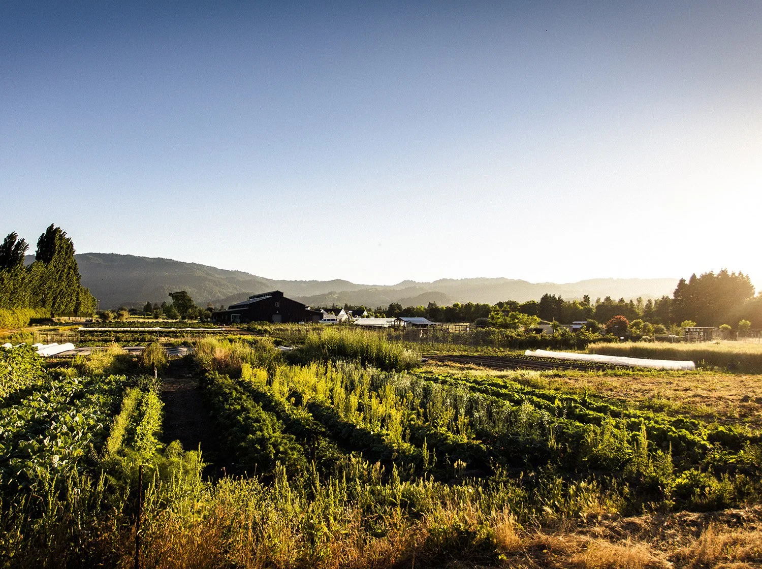 Meadowood Farm beverage producer, workshop, farm, or product