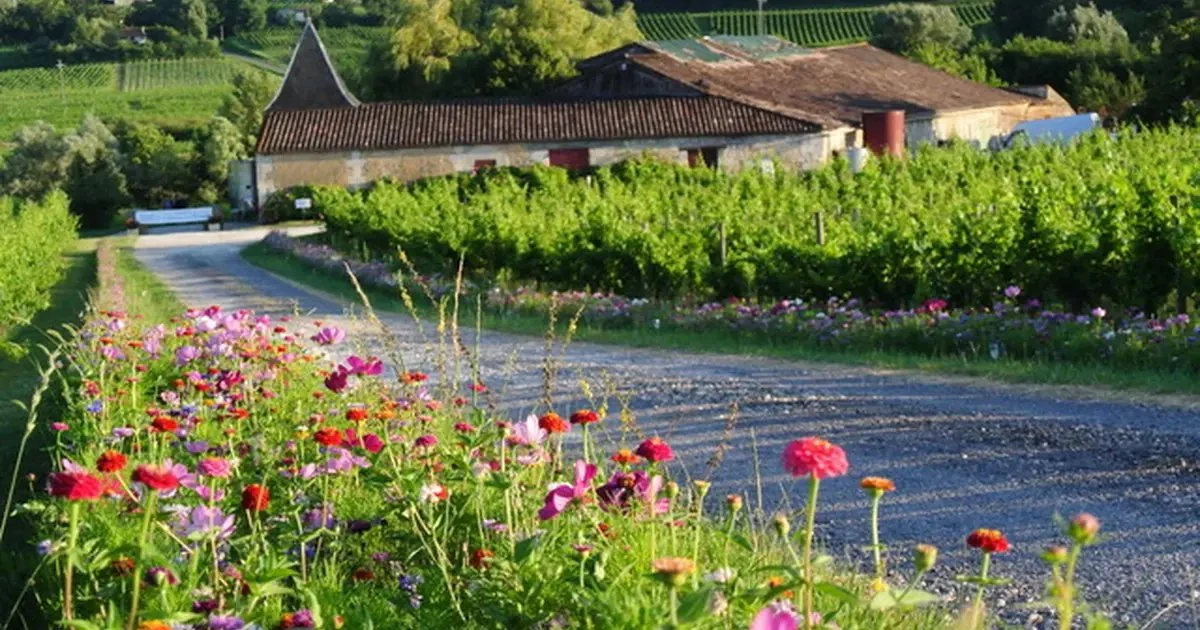 Château La Brande