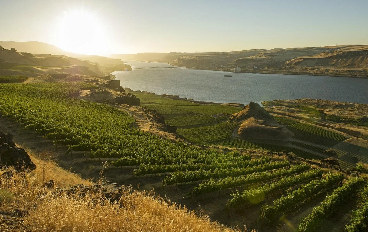 Maryhill Winery