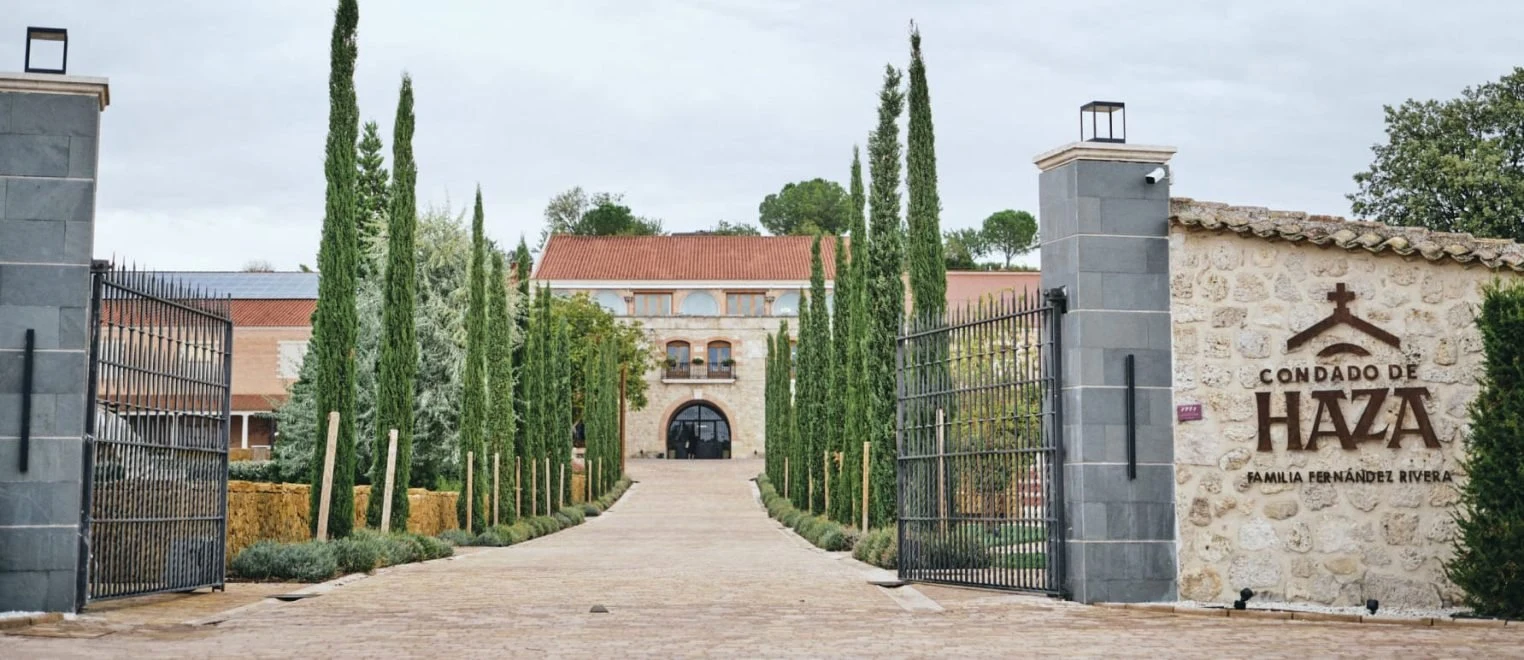 Bodegas Condado de Haza
