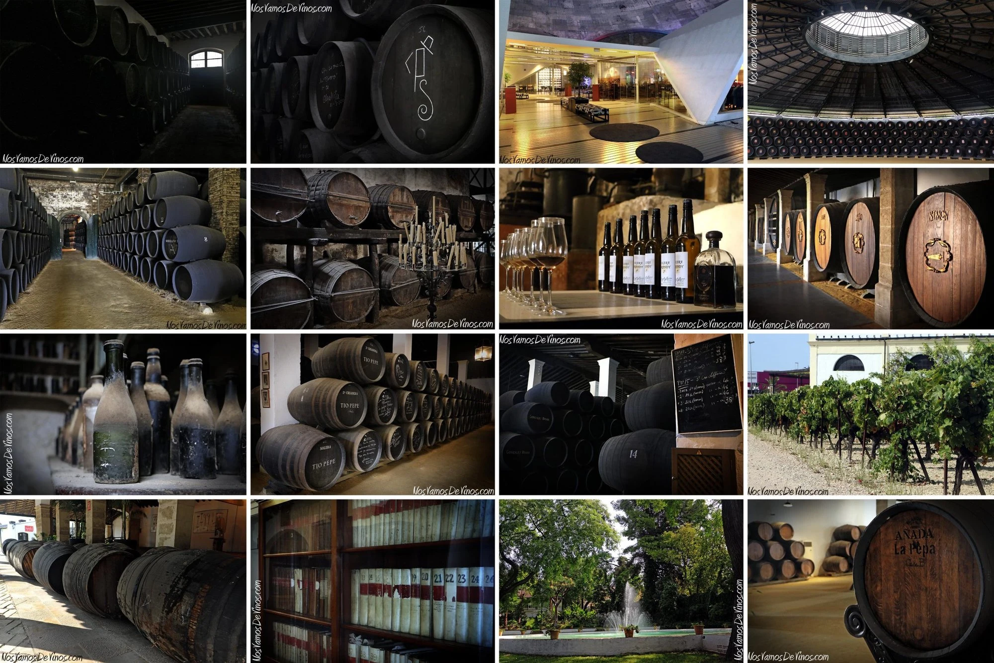 Bodegas Calvo Casajús S.L.