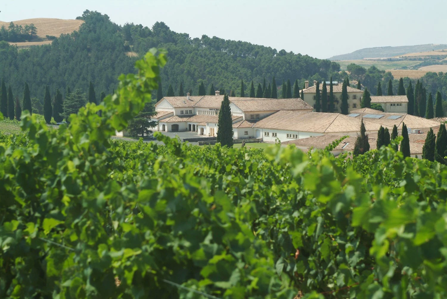 Bodega de Sarria S.A.
