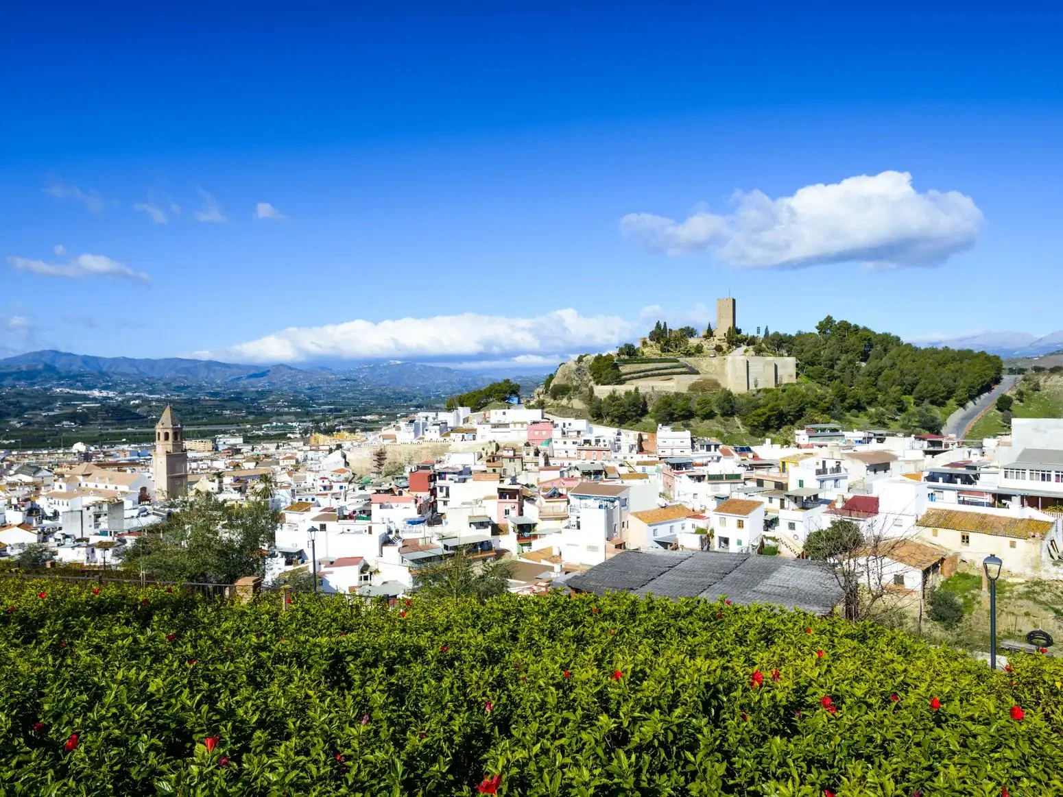 Bodegas Jorge Ordóñez & Co.