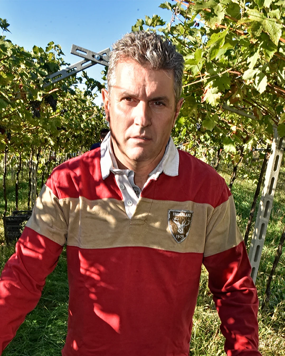 Aldo Degani