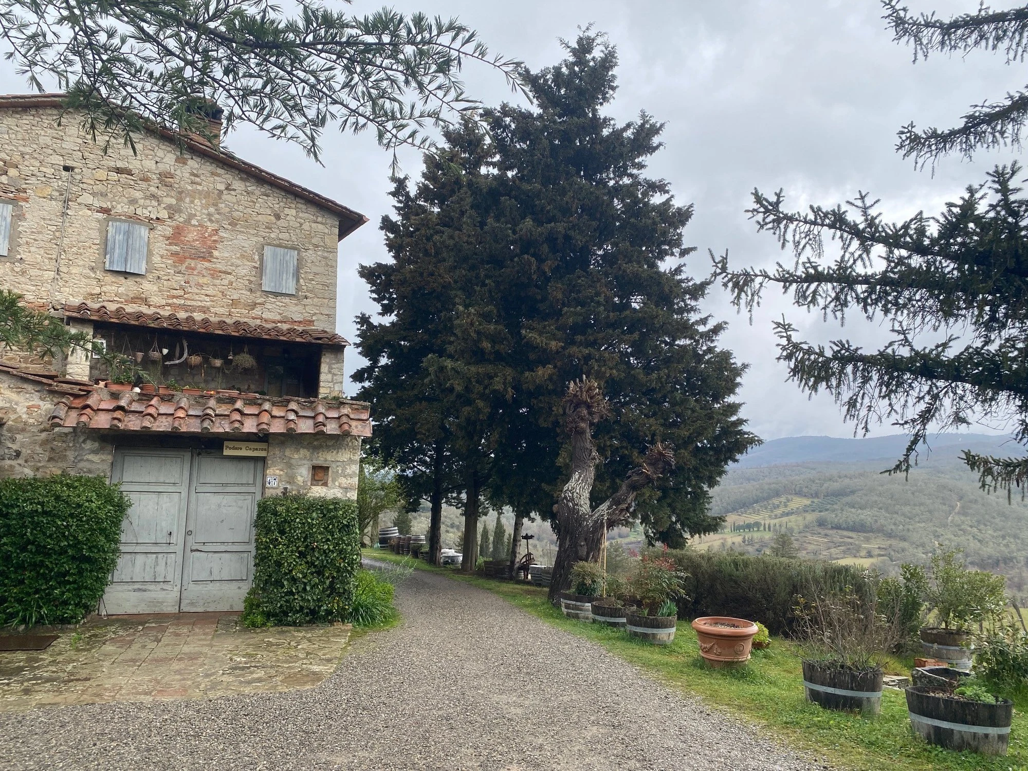 Caparsa
