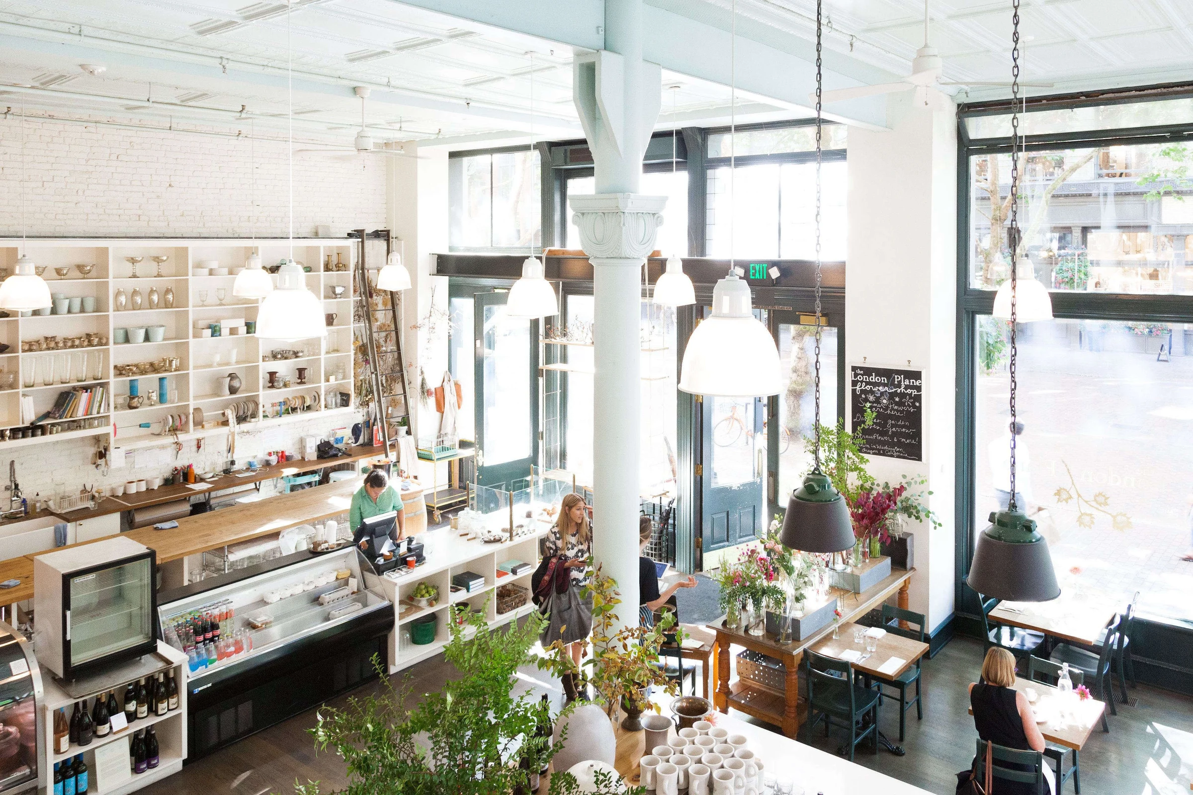London Plane