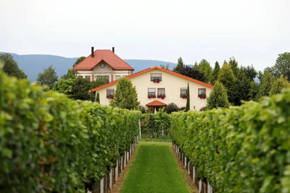 Weingut Villa Hochdörffer