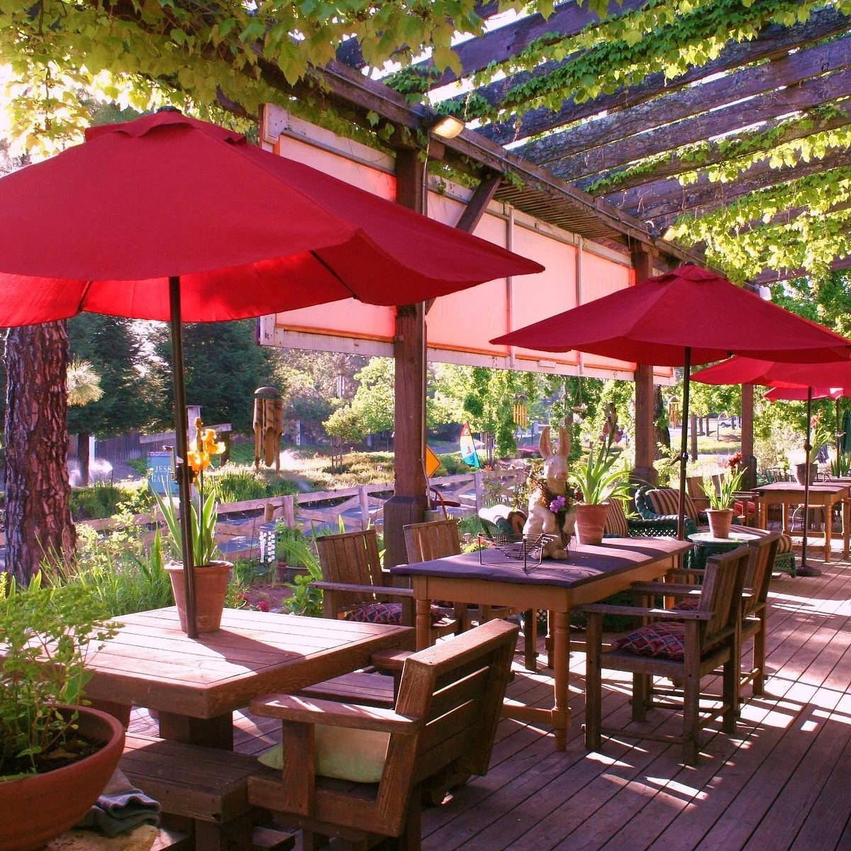 Jean Edwards Cellars