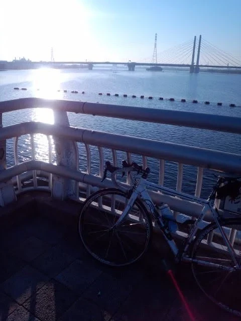 Kimimasa Fujimori