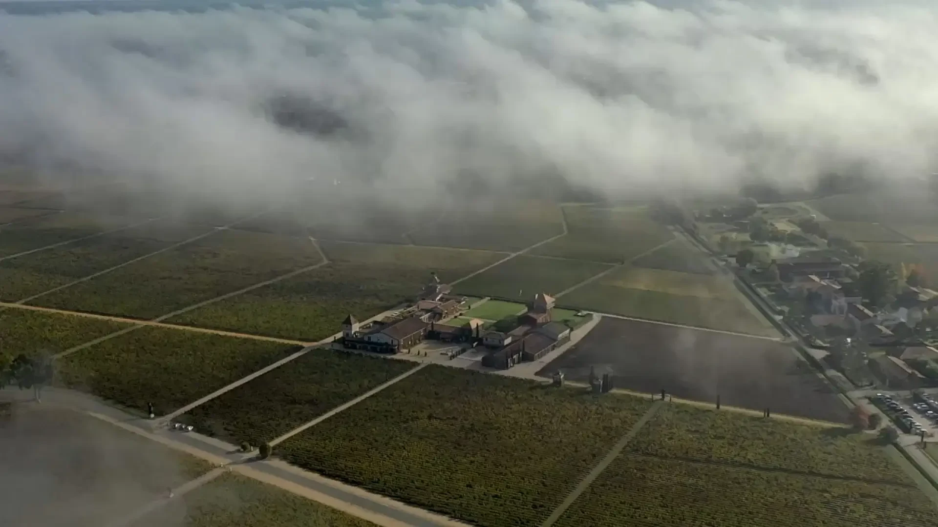 Château Smith Haut Lafitte