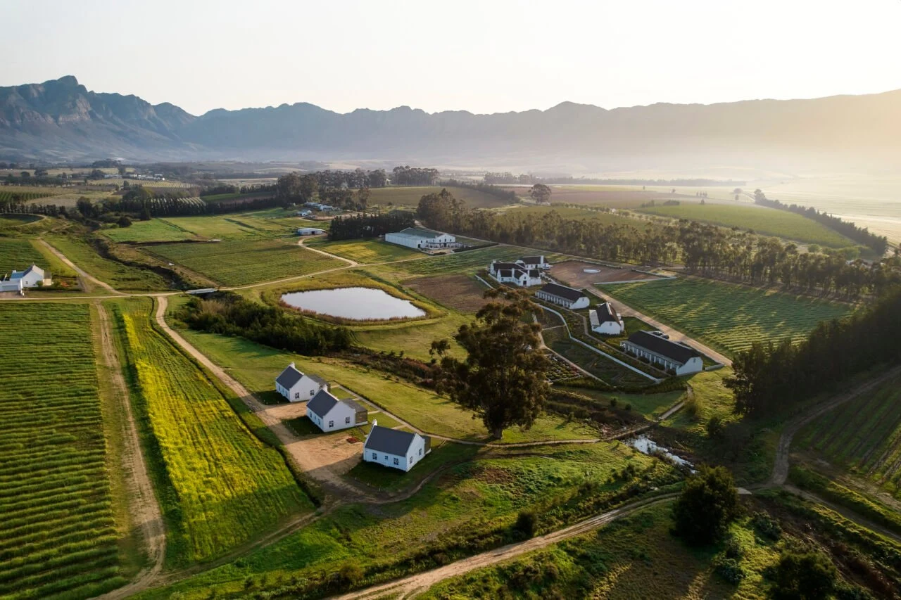 Rijk’s Wine Estate