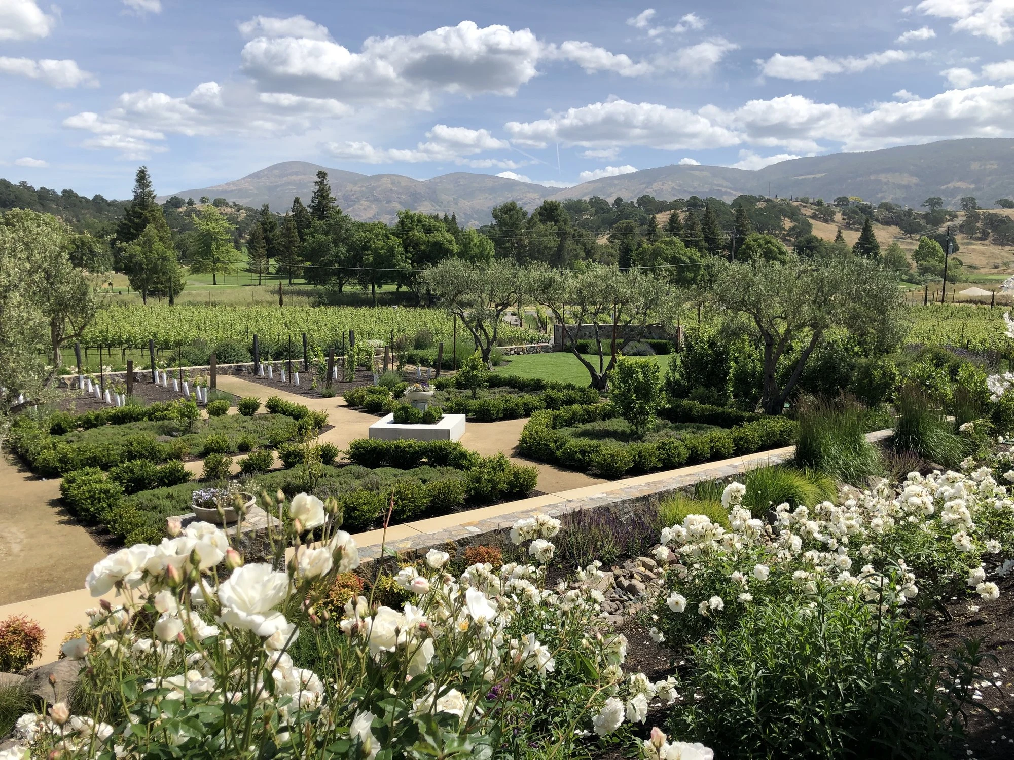 Shadybrook Estate Winery