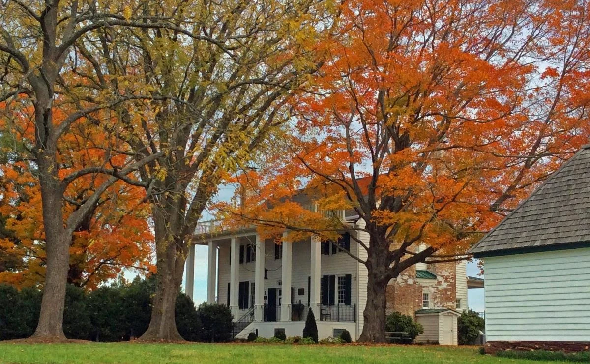 Effingham Manor Winery