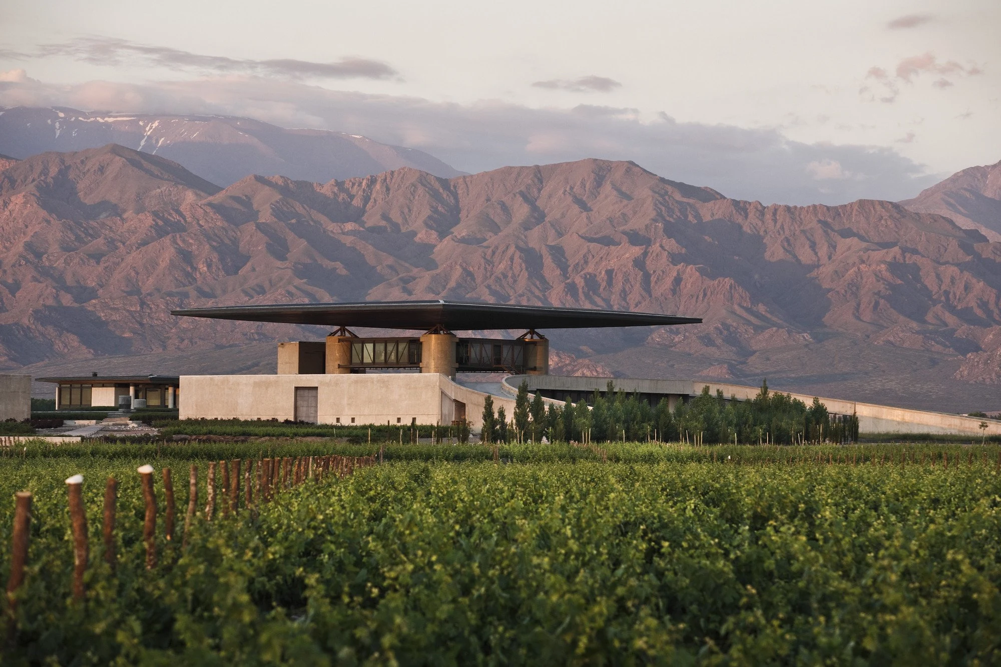 Bodegas y Viñedos O. Fournier